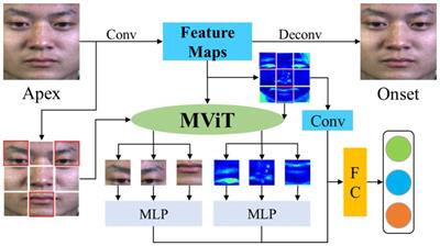 Multi-scale fusion visual attention network for facial micro-expression recognition